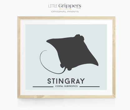 Stingray Print