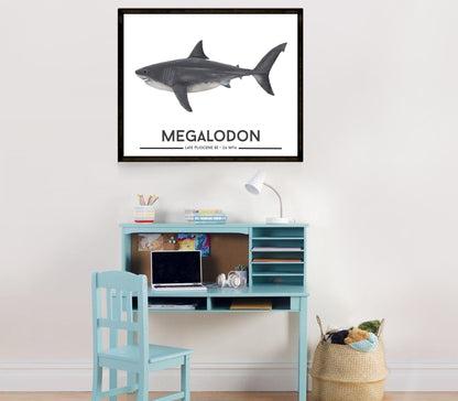 Megalodon Shark Poster