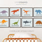 Dinosaur print set