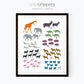 Animal counting poster