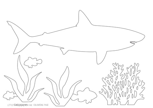 Free Shark Colouring Page