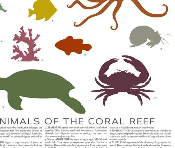 Animal of the Coral Reef Poster