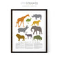 Safari Animal Poster