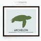 Archelon turtle dinosaur print