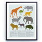Safari Animal Poster