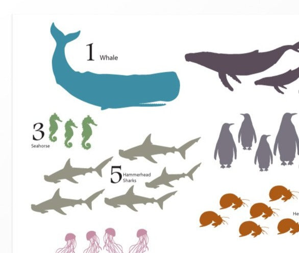 Sea animal counting poster