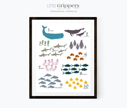 Sea Animal Number Poster