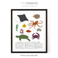 Ocean animal poster set