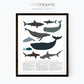 Printable Ocean Animal Wall art