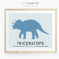 Triceratops dinosaur print