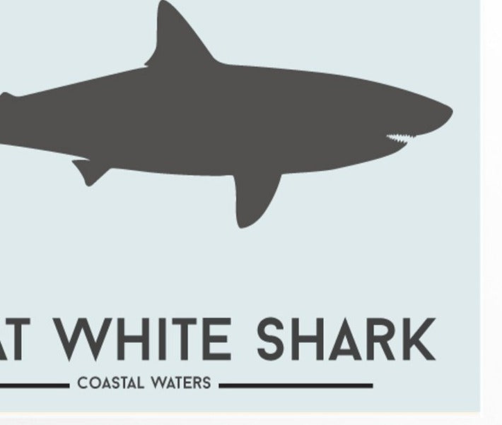 Great White Shark Print