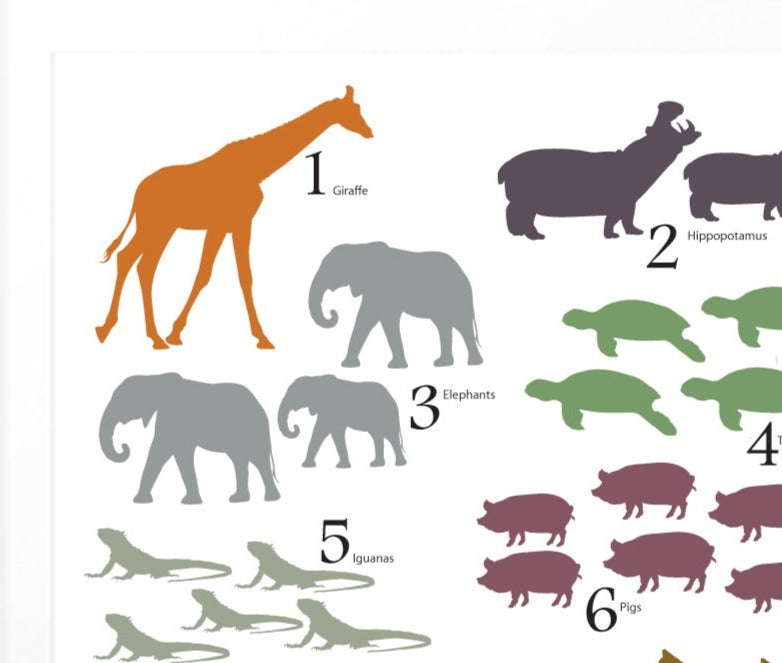 Animal counting poster