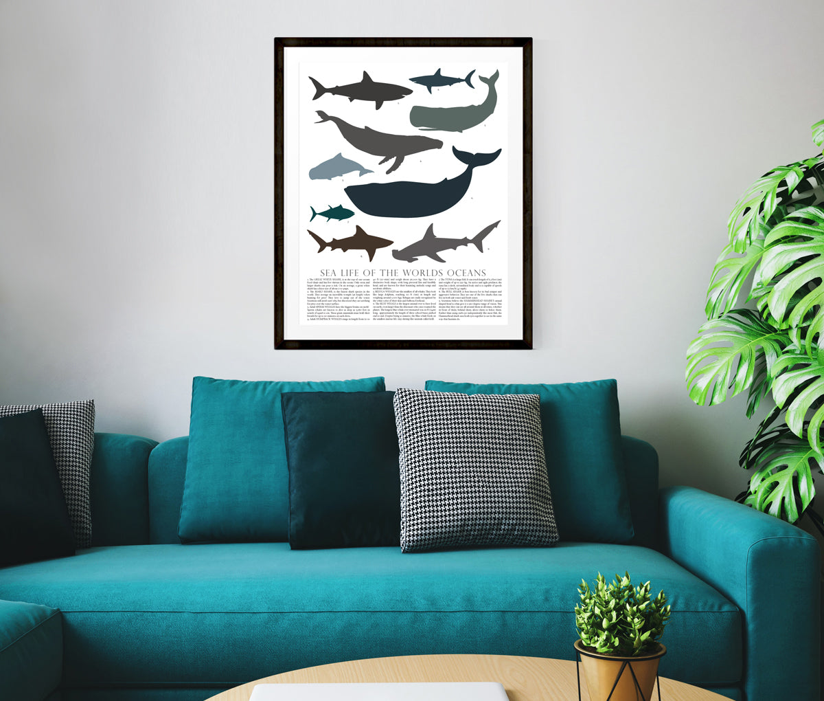 Sea Animal Poster