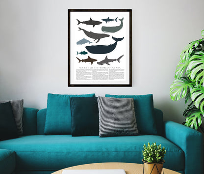 Sea Animal Chart