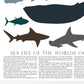 Printable Ocean Animal Wall art